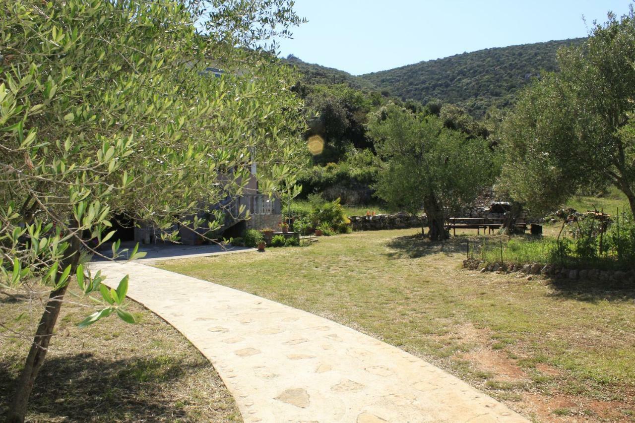 Apartments Bubica Luka (Dugi Otok) Exterior foto